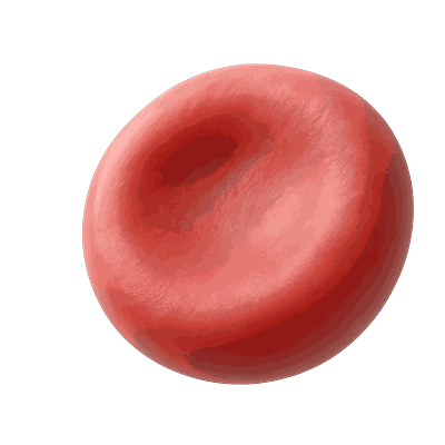 Ilustração de uma hemácia